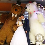 Большие Медведи Панда на Свадьбу,  День рождения,  Юбилей,  Корпоратив